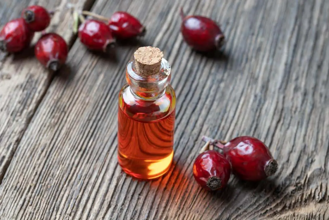 How To Tell if Rosehip Oil Is Rancid